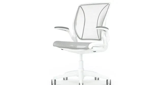Humanscale Diffrient World Chair