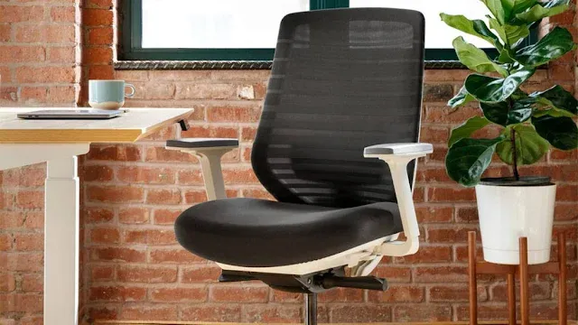 Branch Ergonomic Chair