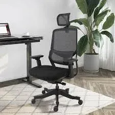 FlexiSpot OC10 Ergonomic Chair